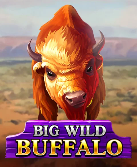 Play Big Wild Buffalo at Chumba Casino